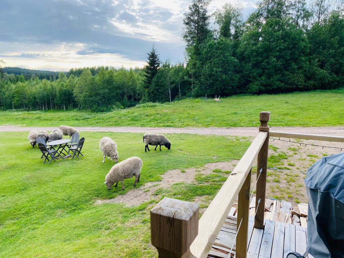 Adventure Guesthouse Sweden In Rural Area Sunne község Kültér fotó