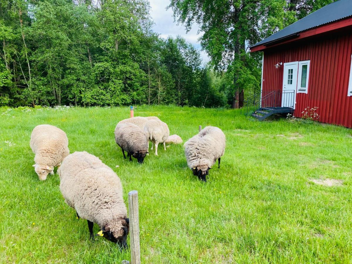 Adventure Guesthouse Sweden In Rural Area Sunne község Kültér fotó